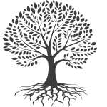 Copie de Site Web Portfolio Photographie Coloré Moderne Minimal Bleu Clair Noir Gris